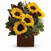 You're Golden - Rise and shine! Send her a sunrise with this golden bouquet of bright-as-day sunflowers. It's the perfect gift for the light of your life.  Approximate Dimensions: 14 1/2 W x 16 1/2 H
