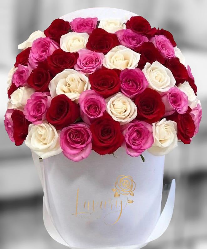 Color Explosion Color Explosion - "PLACE YOUR ORDER AT LEAST 2 DAYS PRIOR TO THE DELIVERY DATE” Our exclusive designs of fresh flowers are a true symbol of luxury arrangements for all occasions. Roses in Box: 50-55 stems of natural roses. 6” White or Black Cylinder Container (subject to inventory availability) All Occasion Check our coverage area. Place your Order Online Monday to Saturday before 1:00 p.m. (E.T.) for same-day delivery. “Orders received after hours will be delivered the next business day”. Check our coverage area. Occasionally, substitutions of flowers and/or containers happen due to weather, seasonality, and market conditions which may affect availability. If this is the case with the gift you’ve selected, we will ensure that your arrangement's style, theme, and color scheme are preserved and will only substitute items of equal value or higher value. CARE INSTRUCTIONS Gently mist the arrangement with natural water every other day. Do not spray any cleaning product on the flower arrangement. Do not place heavy objects directly on the flower arrangement. Keep them out of direct sunlight and extreme heat.
