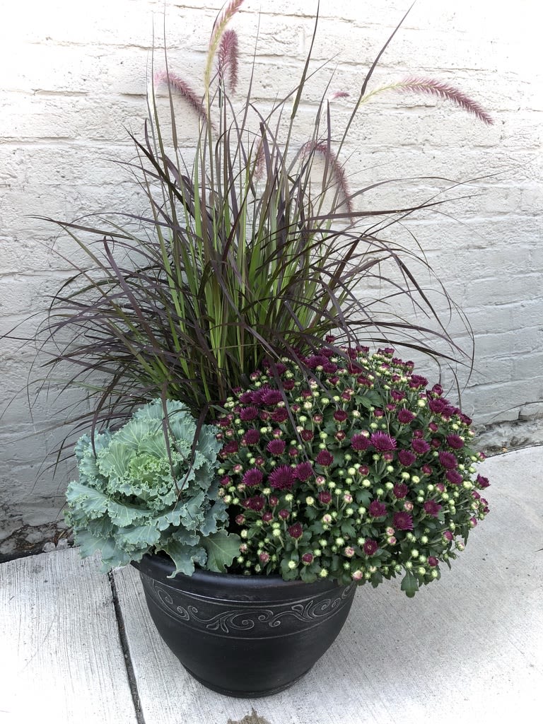 Large 14&quot; Fall patio planter - plater filled with grasses, flowering cabbage and a beautiful fall mum.  