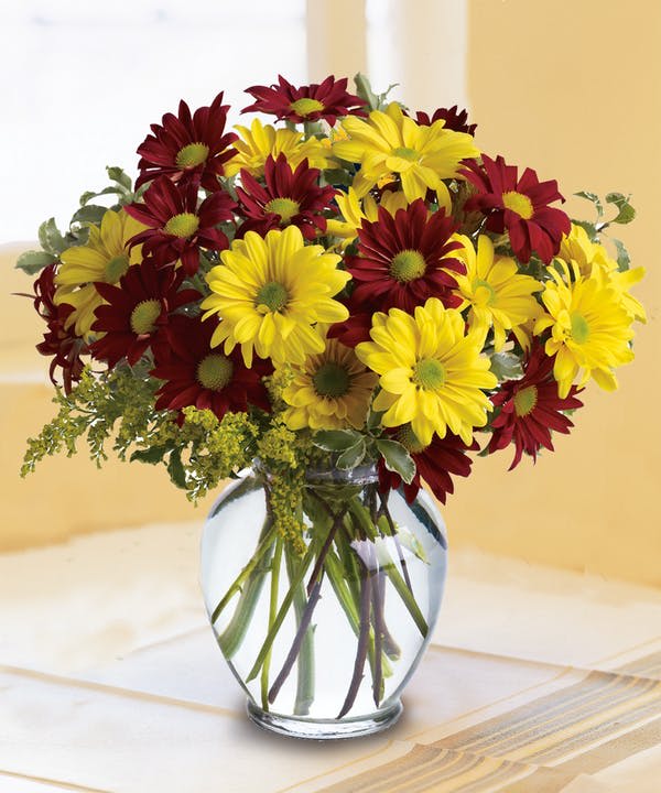 Fall Daisies Fall Daisies - Assorted Fall Daisies, just in time for the season!