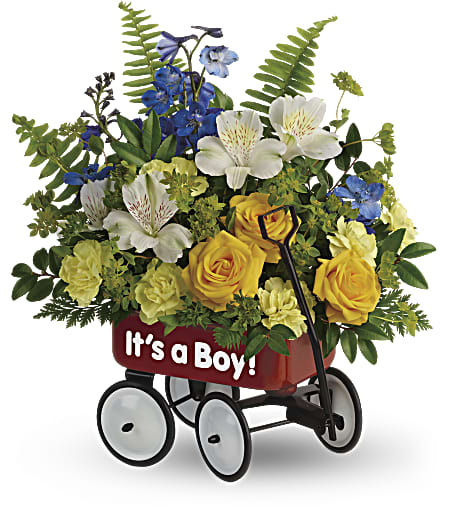 Sweet Little Wagon Bouquet - Give your welcome some wheels! A childhood classic, this cute red wagon is a whimsical way to send the new family a bright blue and yellow bouquet of roses and alstroemeria.  Yellow spray roses, white alstroemeria, miniature yellow carnations, and blue delphinium are arranged with bupleurum, sword fern, huckleberry and leatherleaf fern. Delivered in a Baby's First Wagon. Approximately 11 1/4&quot; W x 13 3/4&quot; H