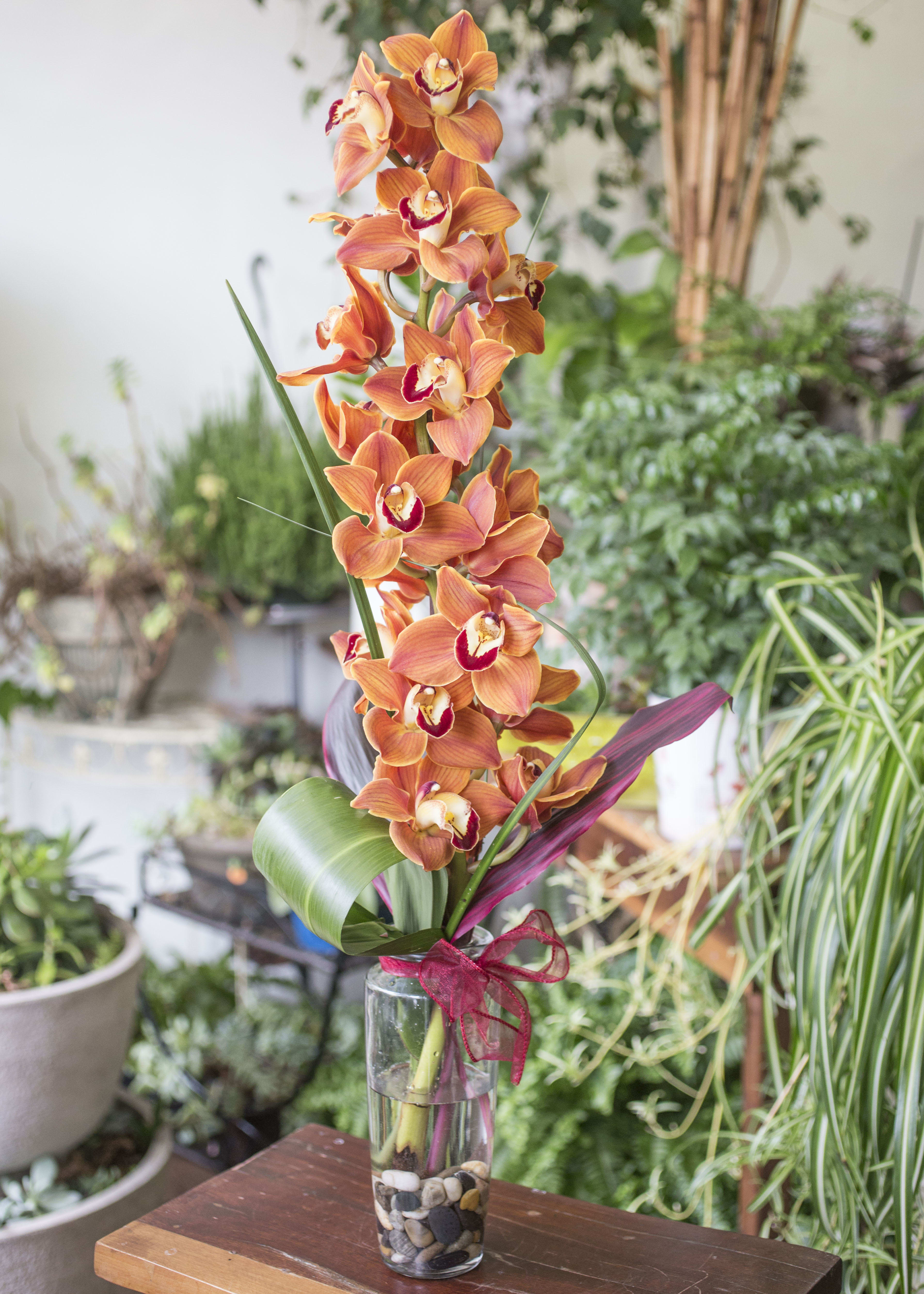 Lealani - Large Cymbidium Orchid in a clear glass vase with accents and stones. Color subject to availability. To request a specific color please note in special instructions.