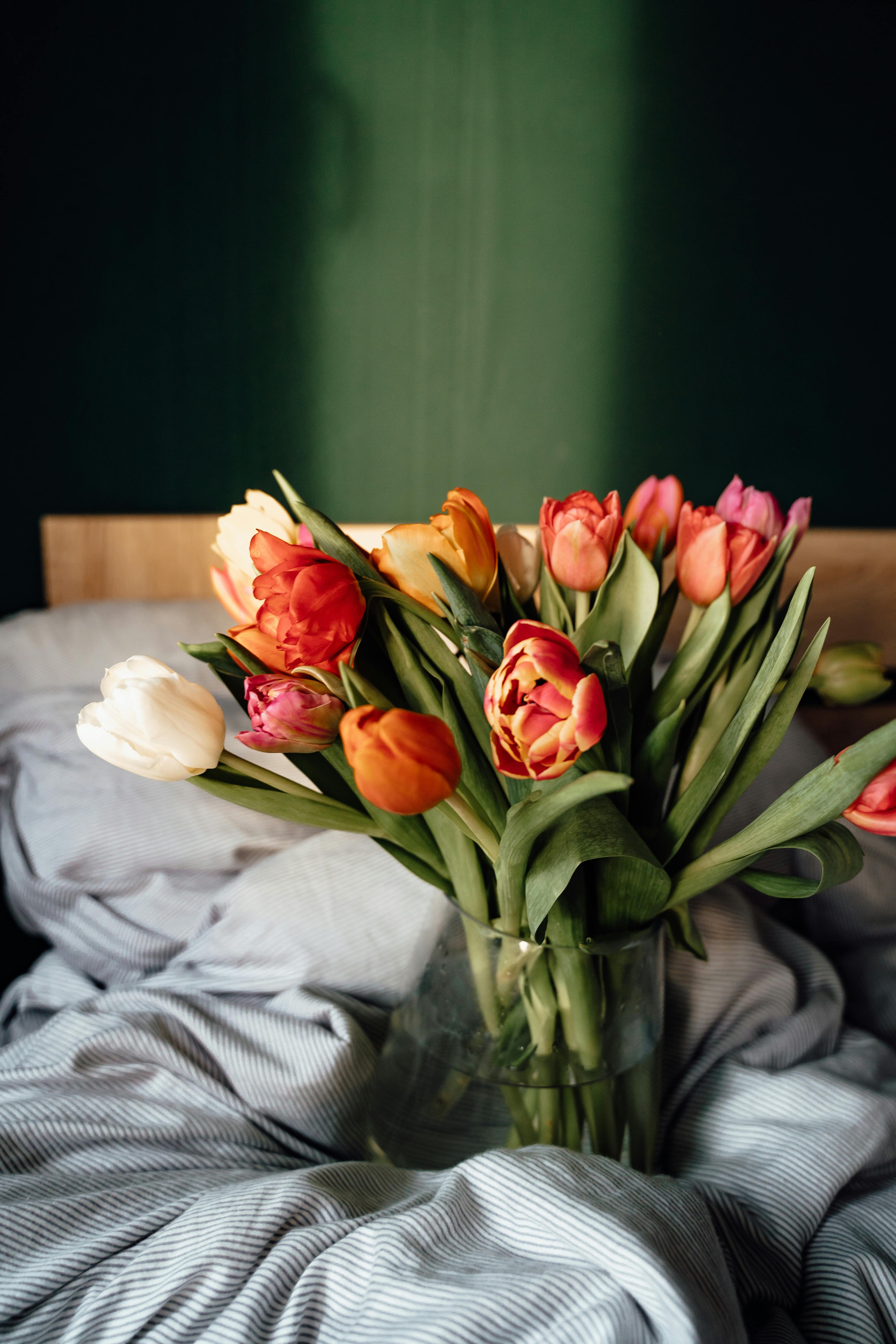 Tulipina di Luce - Awaken your senses with this radiant bundle of freshly cut tulips, reminiscent of a European spring morning. Shades of coral, rose, buttercream, and blush evoke the charm of a countryside garden café, while the effortless styling adds a touch of warmth and intimacy to any bedside table, entryway, or cozy nook. A timeless expression of simple beauty, this bouquet is perfect for gifting or savoring a moment of joy for yourself.