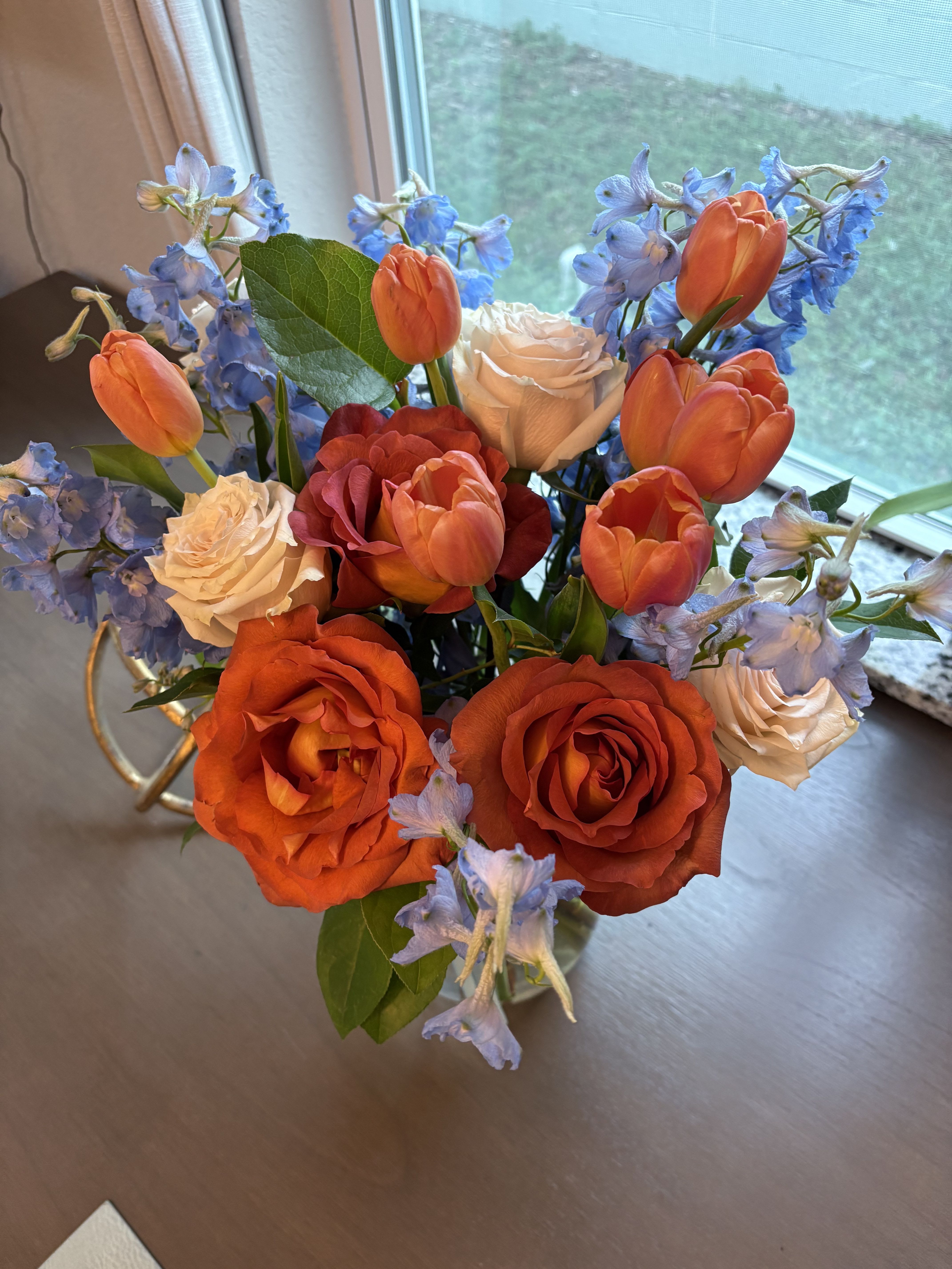 Blossom symphony  - Featuring vibrant red roses, soft cream roses, orange tulips, and delicate light blue delphiniums, this arrangement boasts a symphonic blend of colors and textures. Green leaves accentuate the freshness, while the clear glass vase tied with elegant blue ribbons adds a touch of sophistication. Bathed in gentle sunlight, 'Blossom Symphony' transforms any space into a serene oasis, embodying the tranquility of a serene home