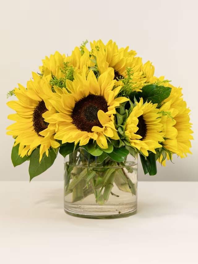 Sunflower Aglow - An uplifting and elegant display of springtime joy perfect for any time of the year. Radiant sunflowers and complementing greenery artfully arranged in an understated glass vase.