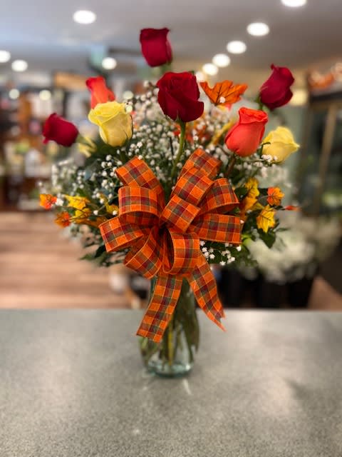 Fall Colored Roses (FR) Fall Colored Roses (FR) - A seasonal favorite. One dozen assorted roses in Fall colors such as orange, red and yellow. Colors may differ.Accented with baby's breath, silk fall leaves and a seasonal bow.