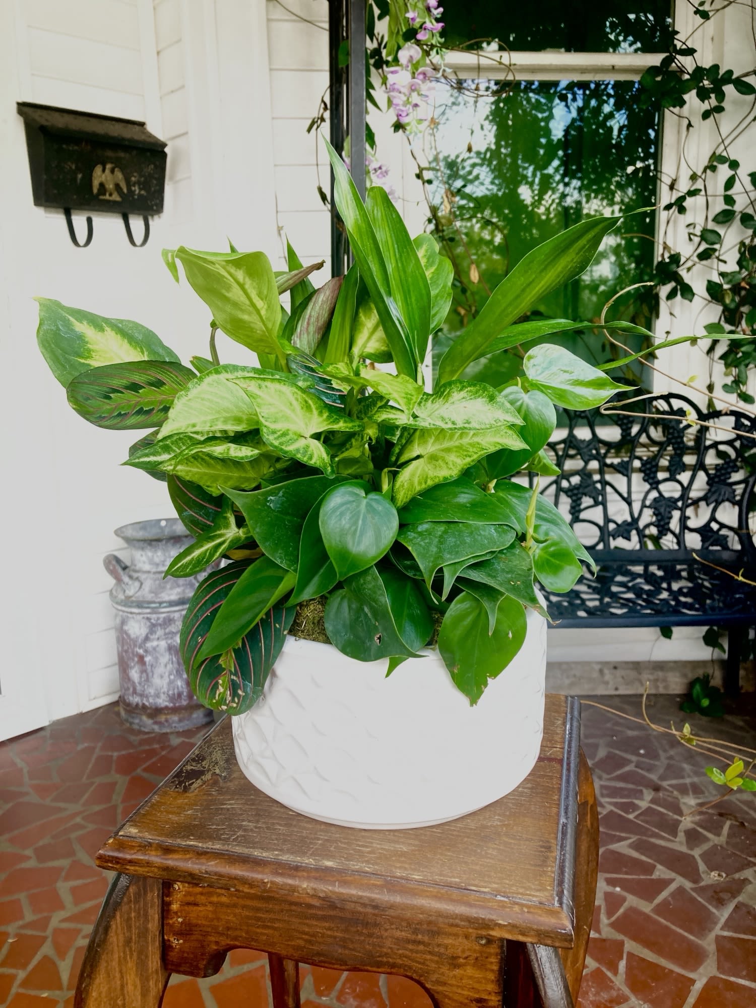 Large Dish Garden Large Dish Garden - Lovely, large arrangement of houseplants in a ceramic container. **Please note-plants and /or container may vary depending on what is available at the time of the order**