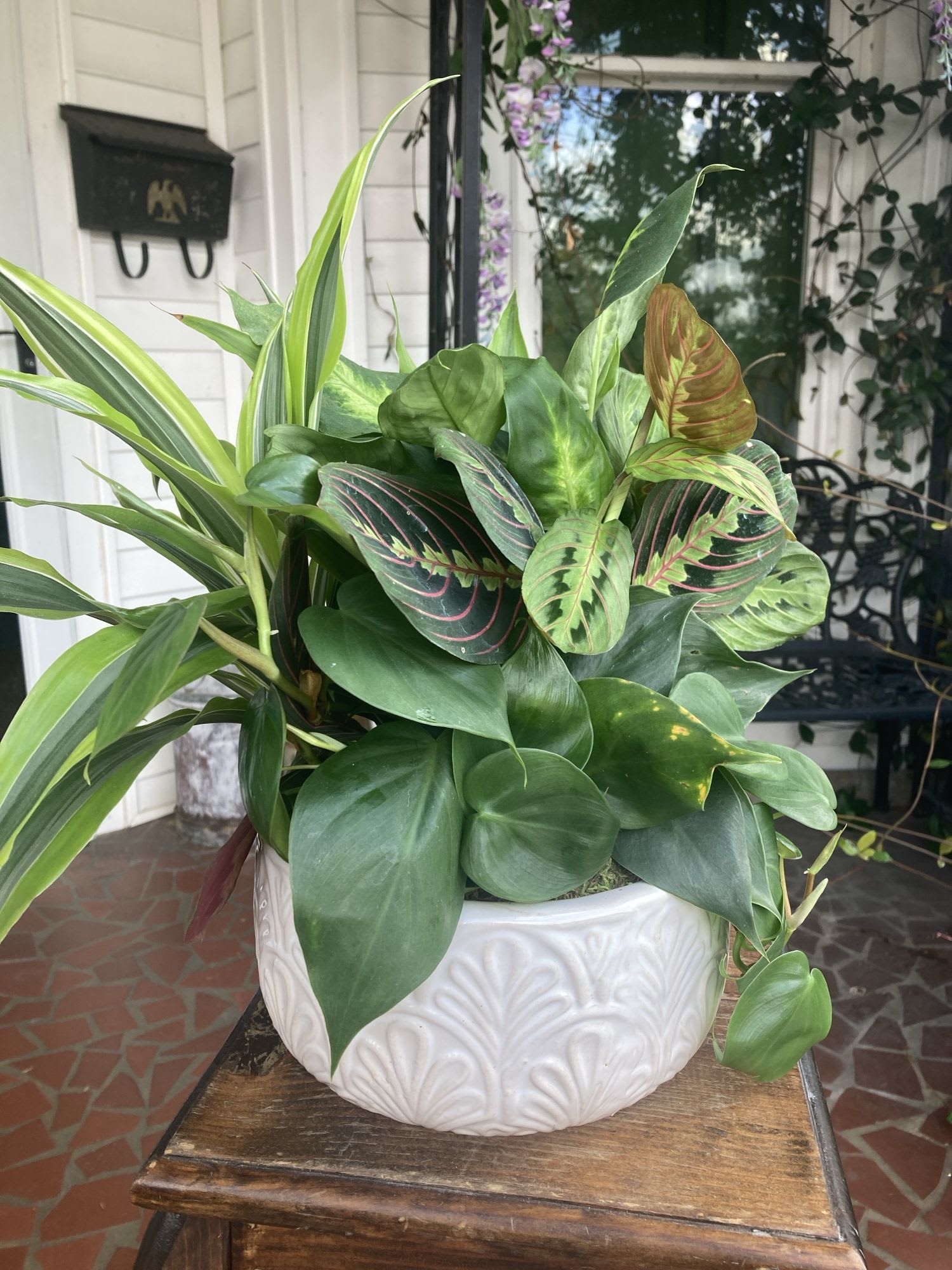 Medium Dish Garden Medium Dish Garden - Lovely, medium arrangement of houseplants in a ceramic container. **Please note-plants and /or container may vary depending on what is available at the time of the order**