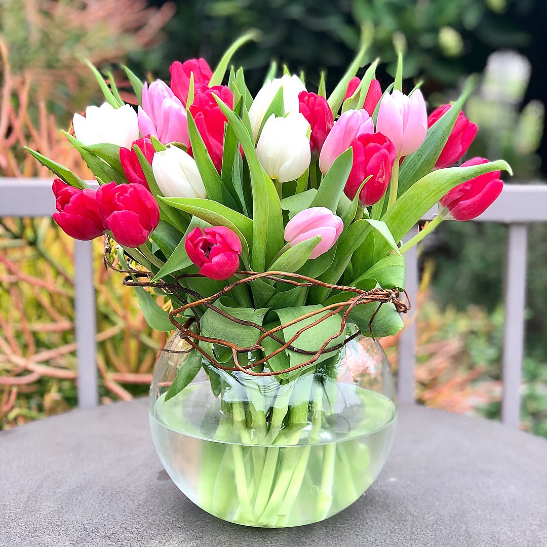 Sensational Tulips - Tulips to make someone's day much special! An assortment of premium tulips with curly willows arranged in a glass bubble bowl vase.  Approximately 12” D