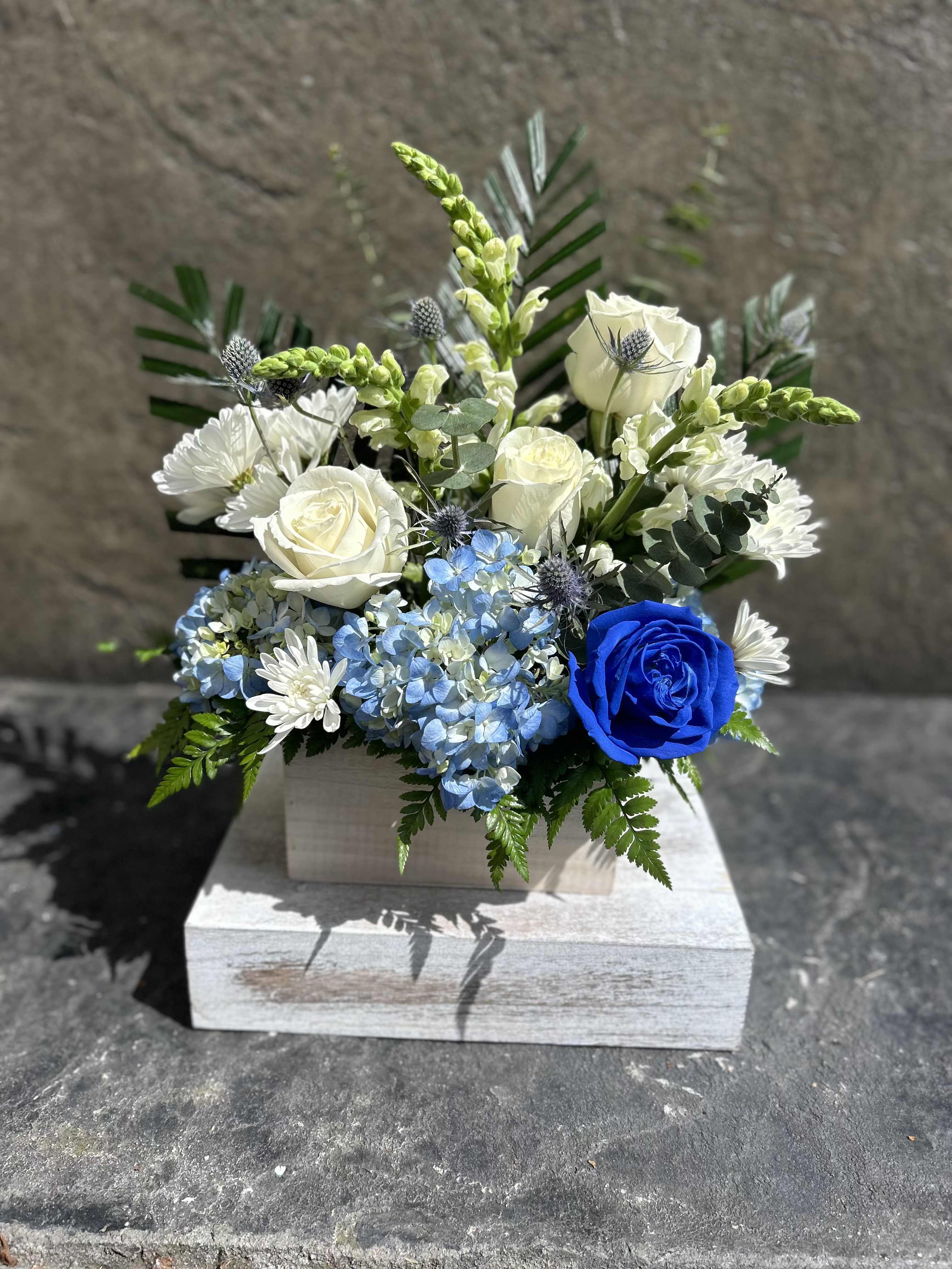Comfort mini  - White roses, chrysanthemums, snapdragon, hydrangea, with other filler blooms, and foliage. 