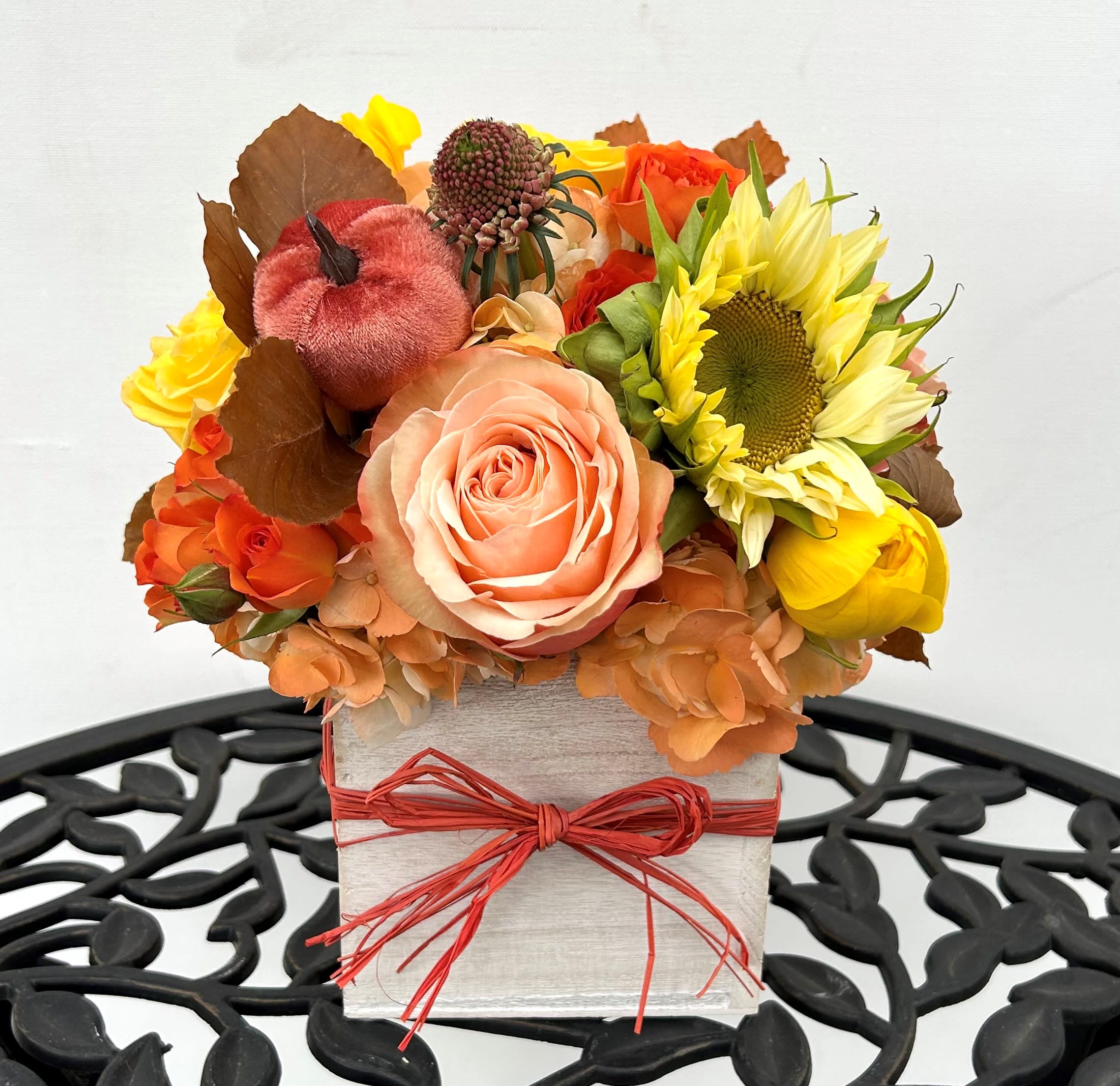 Country pumpkin  - .