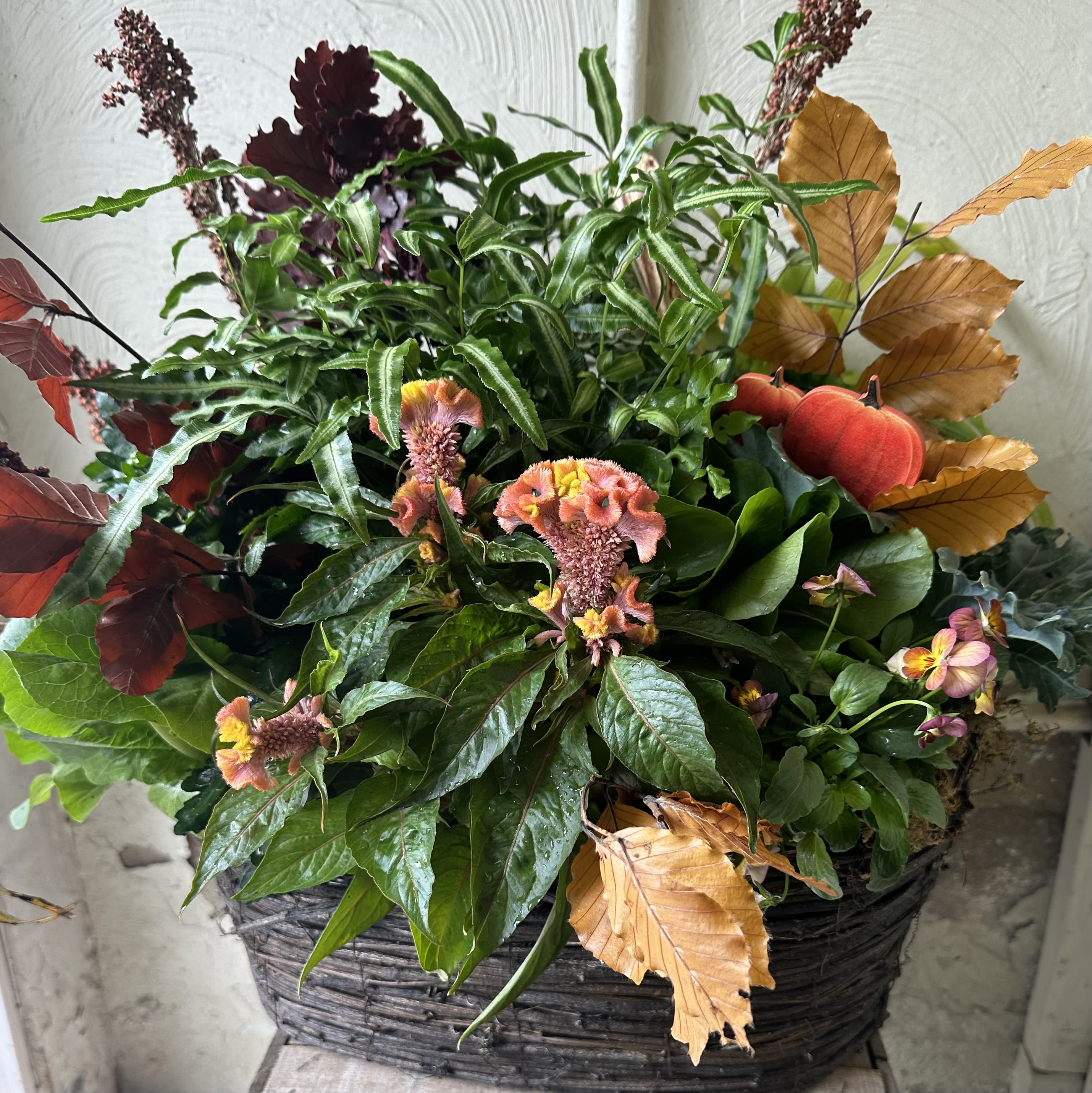 Fall Inspired Garden Basket - Inspired by Fall! Trust In the Garden to design with our highest quality plant material, hand picked by our designers. A great designers choice option! 