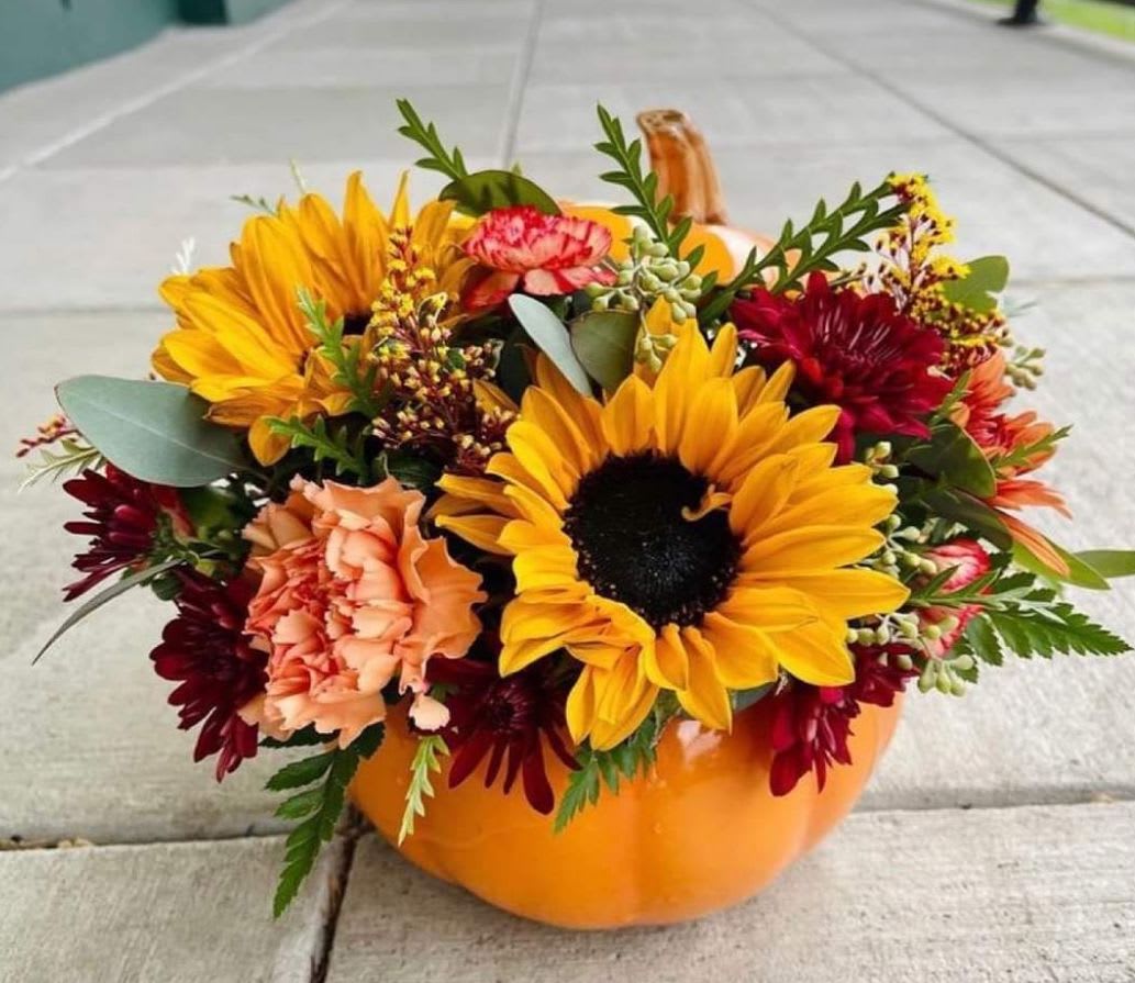 Fall Harvest Orange Pumpkin - Celebrate the changing of the seasons with this ceramic orange pumpkin filled with fall-colored favorites. Arrangement will be filled at close as possible with available flowers. At times substitutions will have to be made due to availability of flowers. (Deluxe and Premium will be made with more flowers.)