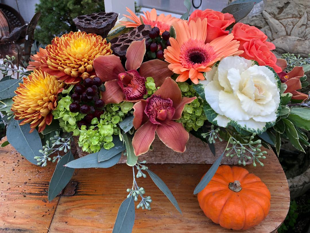 Cool Fall Nights Cool Fall Nights - 12 inch long birch container with seasonal variety of ornamental kale, mums, berries , roses , seeded eucliptis , hydrangea, gerbera daisys, and charming cymbidium orchids