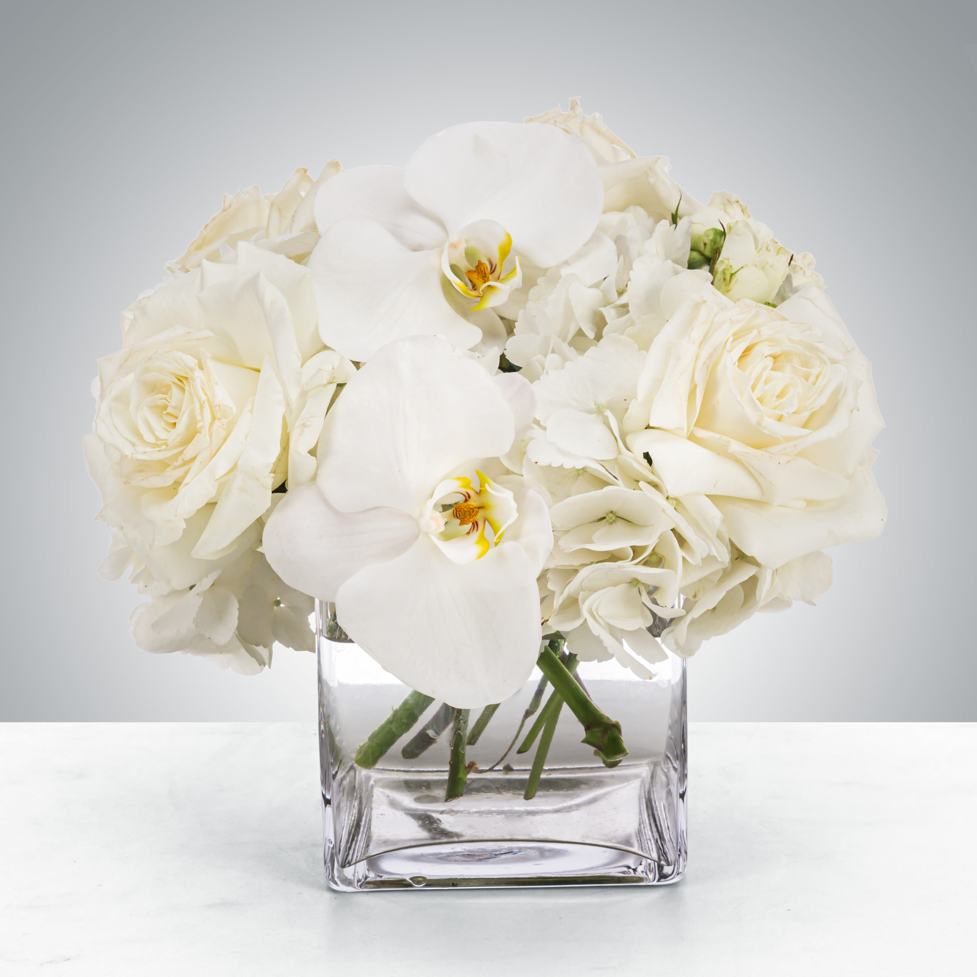 Linen - This petite all-white arrangement featuring hydrangea and orchids is the perfect all-occasion gift. Send it for any holiday, event, or circumstance.  Approximate Dimensions: 8&quot;D x 8&quot;H
