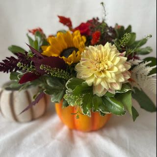 Feelin' Thankful - This cheerful celebration of October is arranged in a ceramic pumpkin! Perfect for Thanksgiving or any time this fall, we use the bounty from Mother Nature for which we are so thankful. Pumpkin may be orange or white and filled with fall colours. We always choose the freshest flowers available to use on the day. Because of this, some variation in your arrangement may occur. Approx 11″ wide and 7″ tall.