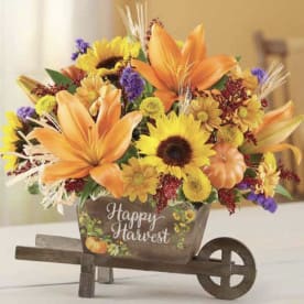 Happy Harvest Wheelbarrow  - A thoughtful gift can be made even more special when it’s delivered in style. Our charming keepsake harvest wheelbarrow was created exclusively for us, featuring weathered wood and a cheerful “Happy Harvest” sentiment. Arriving with a beautiful arrangement of fresh fall flowers, it will make a lovely rustic décor piece throughout the season.