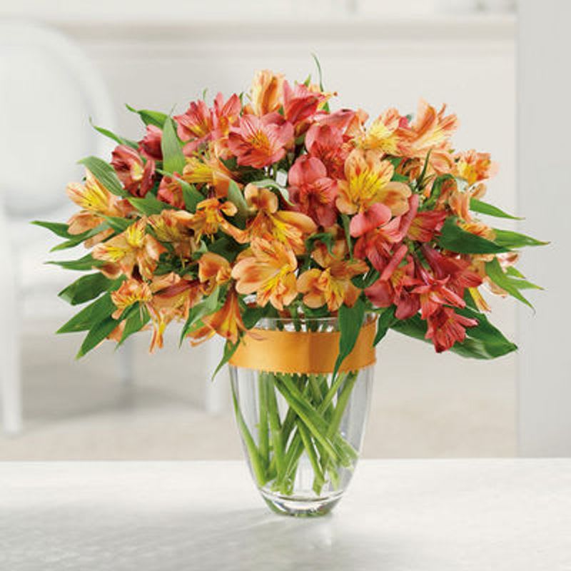 Awesome Alstromeria - Alstroemeria signify devotion, prosperity and fortune. This awesome arrangement delivers all these sentiments and more.