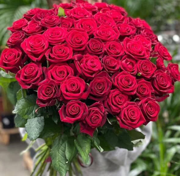 Say no more - 100 red roses