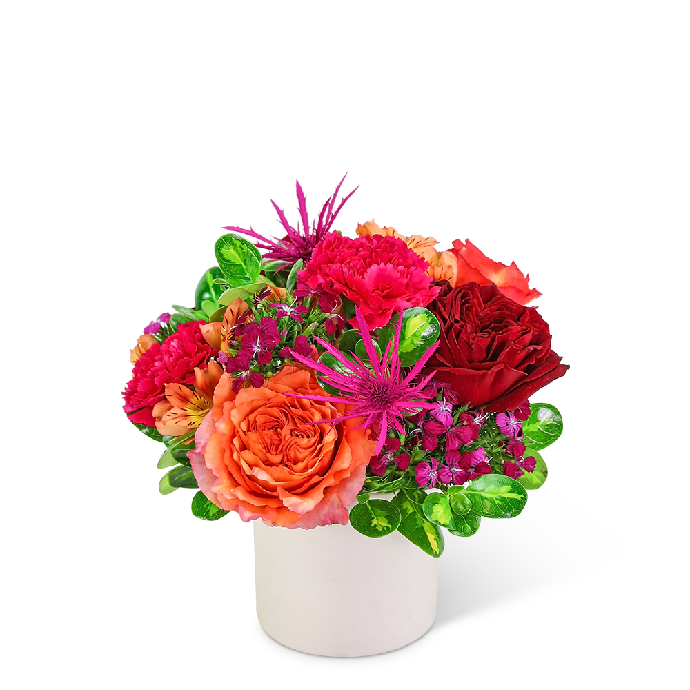 Almost Paradise - Wouldn’t it be paradise to receive this colorful arrangement? Almost Paradise is a vibrant collection of red and orange roses, carnations, alstroemeria, and dianthus accented with a variety of foliage in a white ceramic container. This eye-catching design would add a pop of color to any home or office. We offer the freshest flowers and same-day local flower delivery in most cases.
