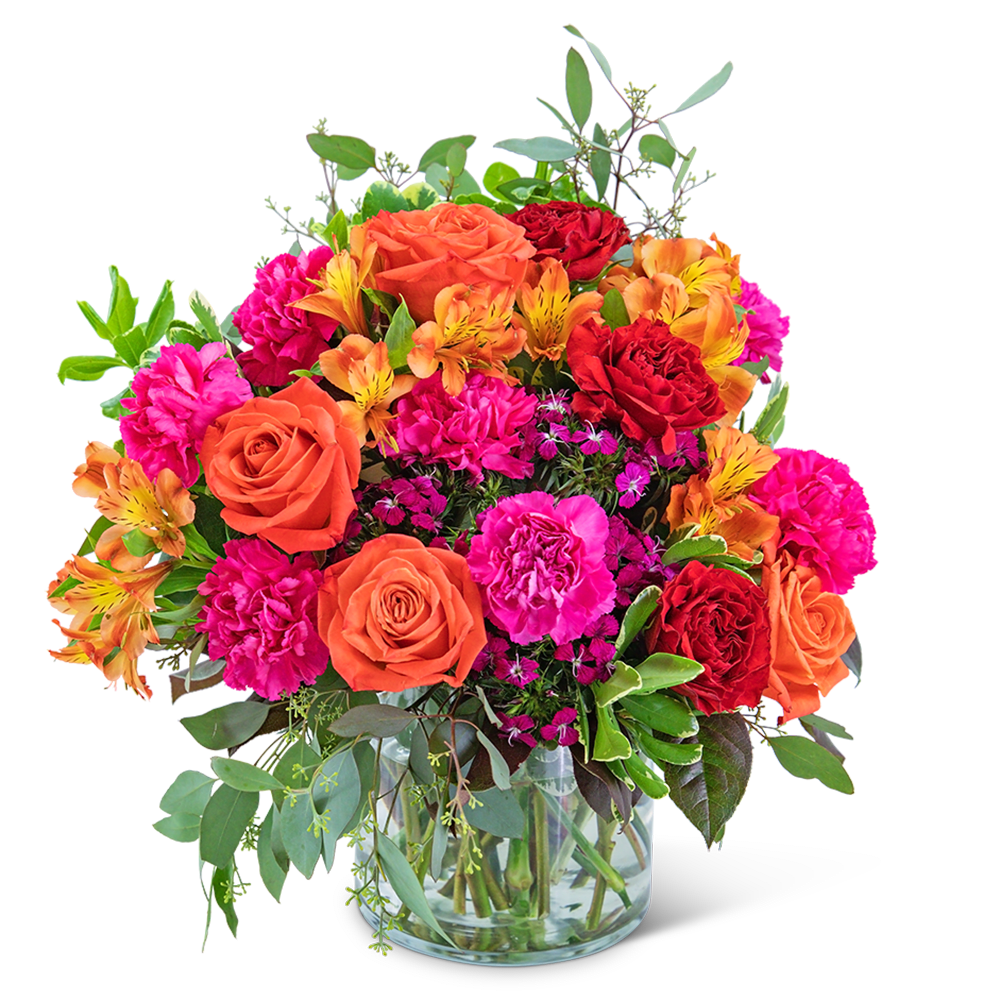 Mango Obsession Mango Obsession - How can you not be obsessed with the rich colors of this arrangement? Mango Obsession is a vibrant collection of Myra and orange roses, carnations, alstroemeria, and dianthus accented with a variety of foliage in a clear cylinder container. This large, colorful arrangement will make quite a statement on an entryway or dining room table.