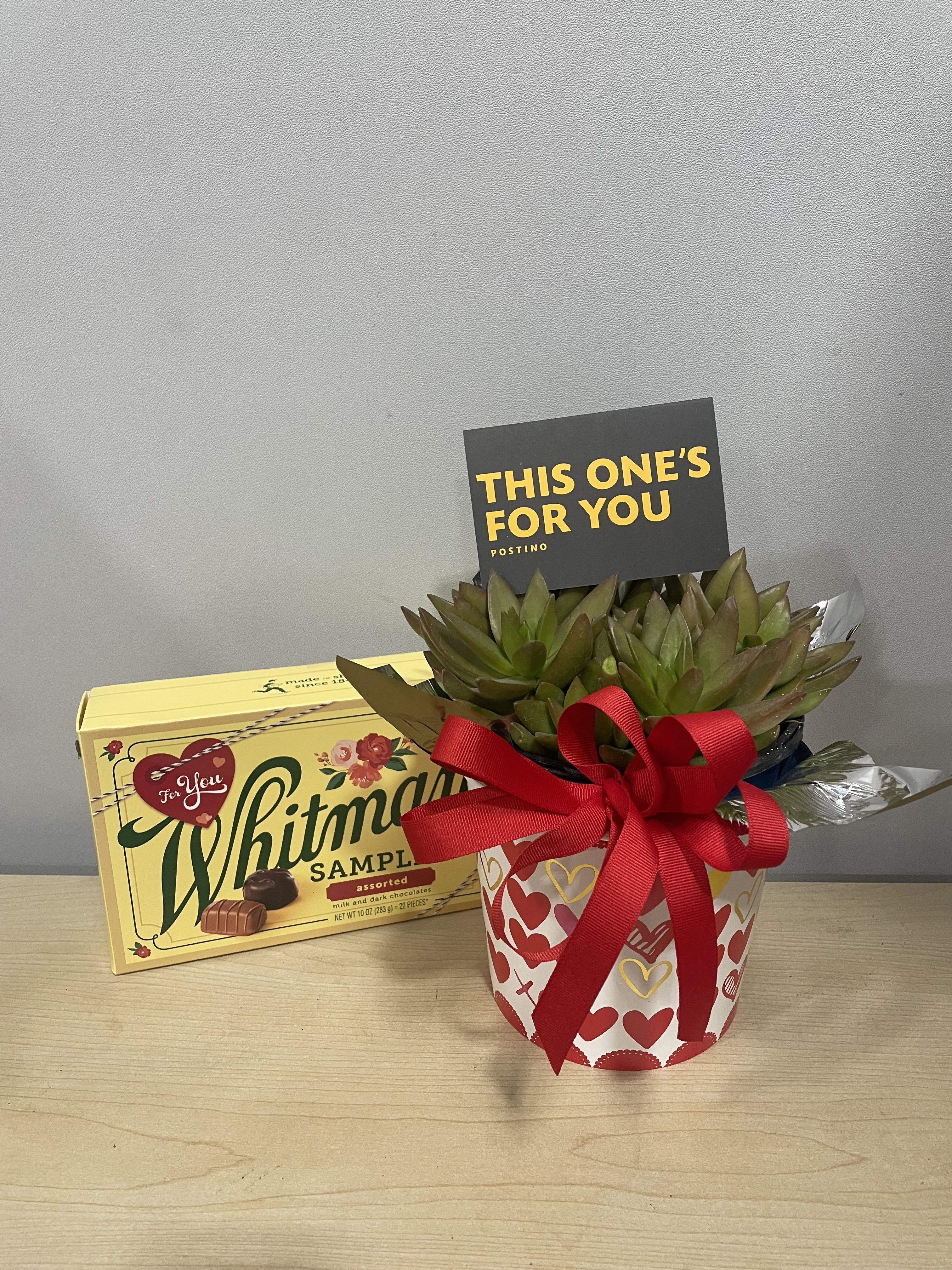 Lotsa Hearts Succulent &amp; Postino Trio - As shown w/ $20 gift card included 