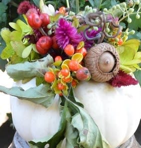 Dried Flower Pumpkin  - Dried flowers arranged in a creative display on top of a pumpkin.  This arrangement will last for months! Great for the holidays!