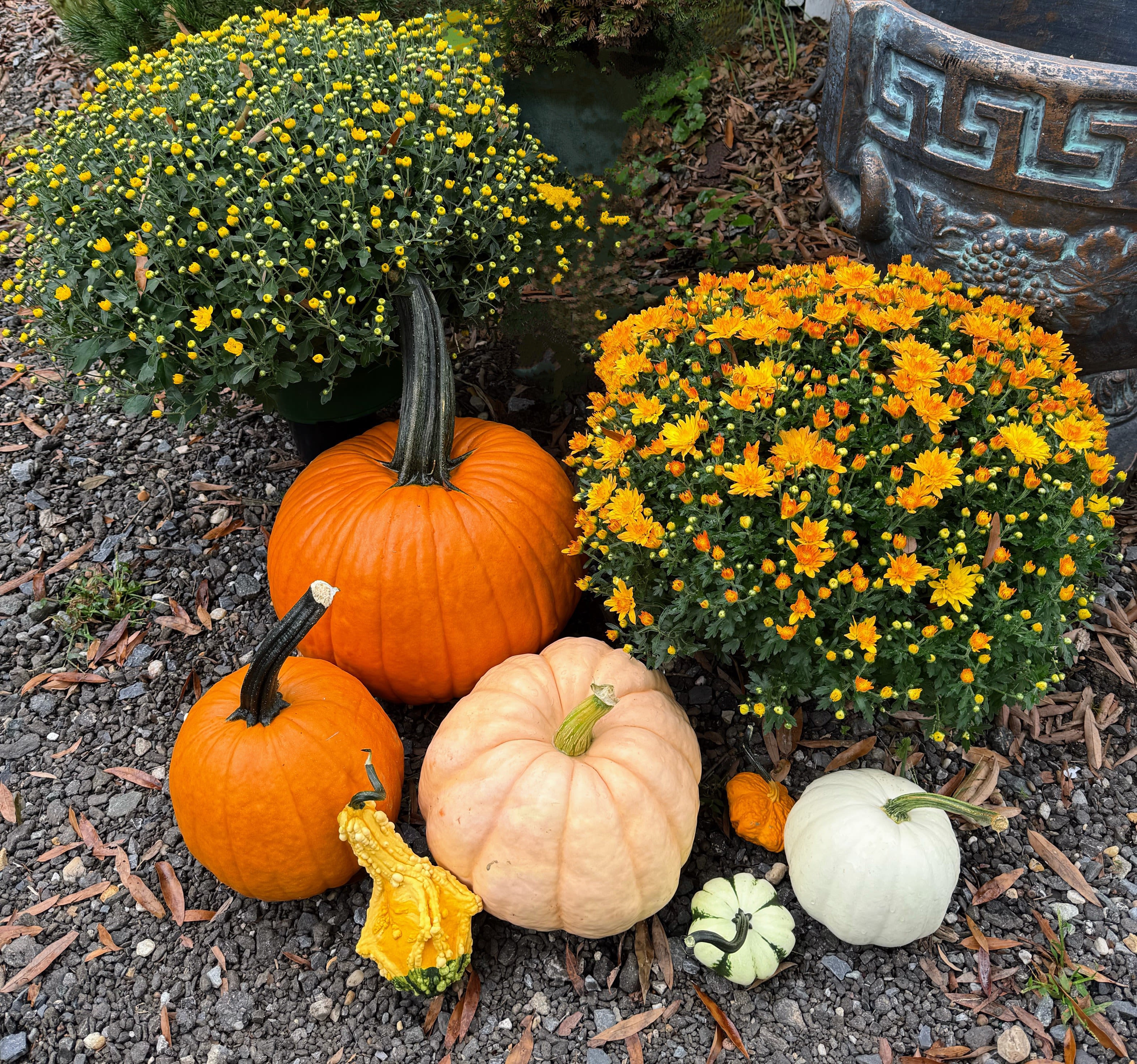 Fall Porch Display  - A fall display perfect for the start of the holidays! 2 mums, 4 mixed pumpkins, 3 gourds. 