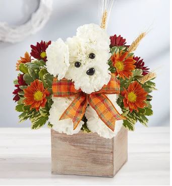 a-Dog-able For Fall - Our fall flower pup is a true delight. Crafted from white carnations, with harvest-colored blooms all around, he’s designed in our rustic grey-washed wooden cube, adding warmth and charm of this whimsical gift.