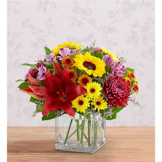 Harvest Charm Bouquet - Embrace autumn’s allure with our harvest-inspired bouquet. A loose gathering of blooms in rich reds, sunny yellows and pops of radiant purple come together in a modern glass cube, delivering the season’s charming beauty to someone very special. All-around arrangement with red Asiatic lilies, yellow mini sunflowers, purple cremons, Peruvian lilies (alstroemeria) and Limonium, yellow Viking poms, bronze button poms; accented with assorted greenery Artistically designed in a classic clear glass cube. Our florists hand-design each arrangement, so colors, varieties and container may vary due to local availability To ensure lasting beauty, Asiatic lilies and Peruvian lilies may arrive in bud form and will fully bloom over the next few days ** VASE WILL VARY**