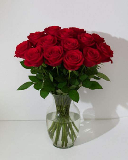 Dozen Red Roses Dozen Red Roses - These dozen red roses are classic! Perfect romantic gift for a Birthday, Valentine's Day or an Anniversary. APPROXIMATE DIMENSIONS: 25" H X 18" W