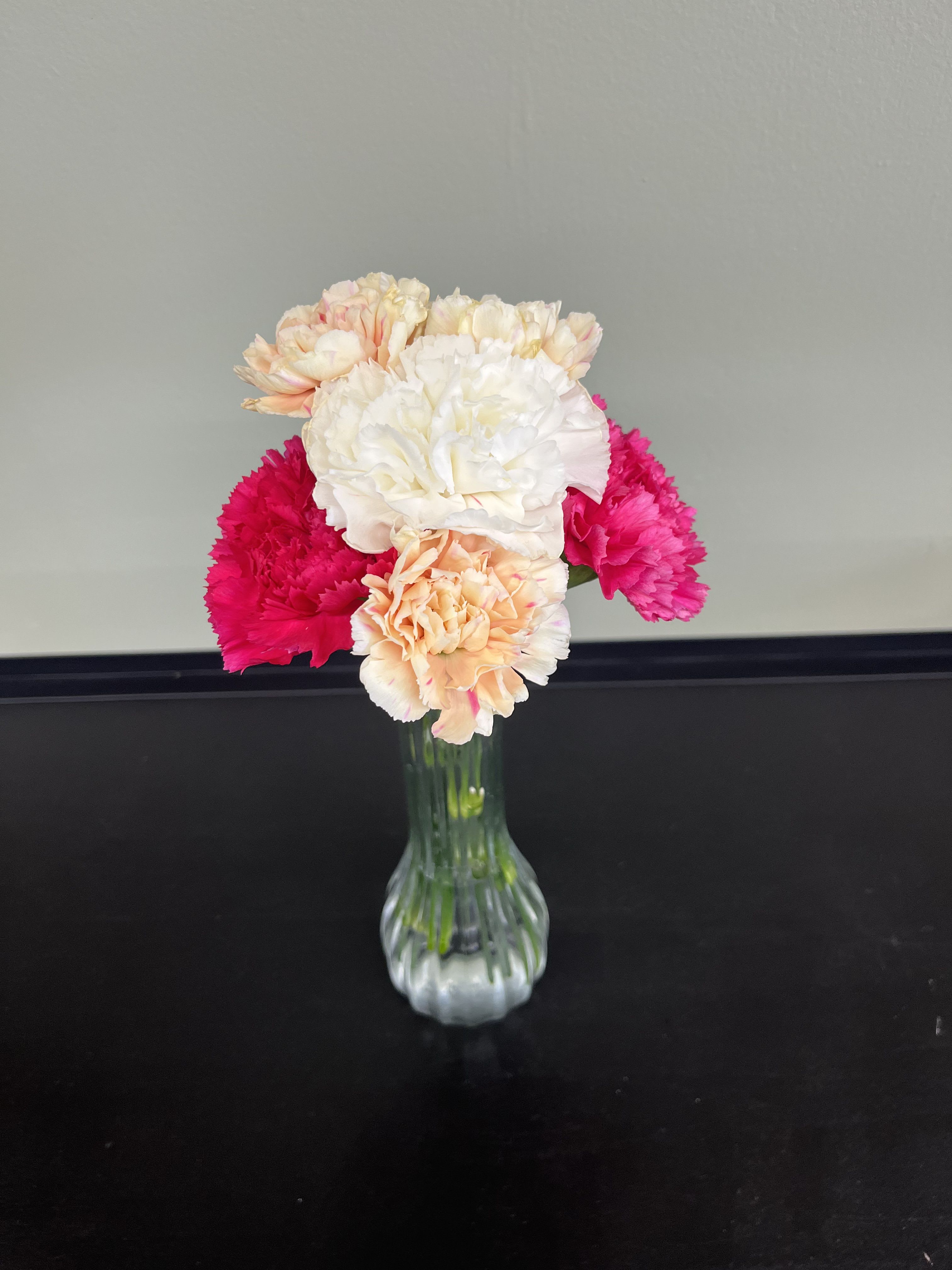 Budvase - Budvase