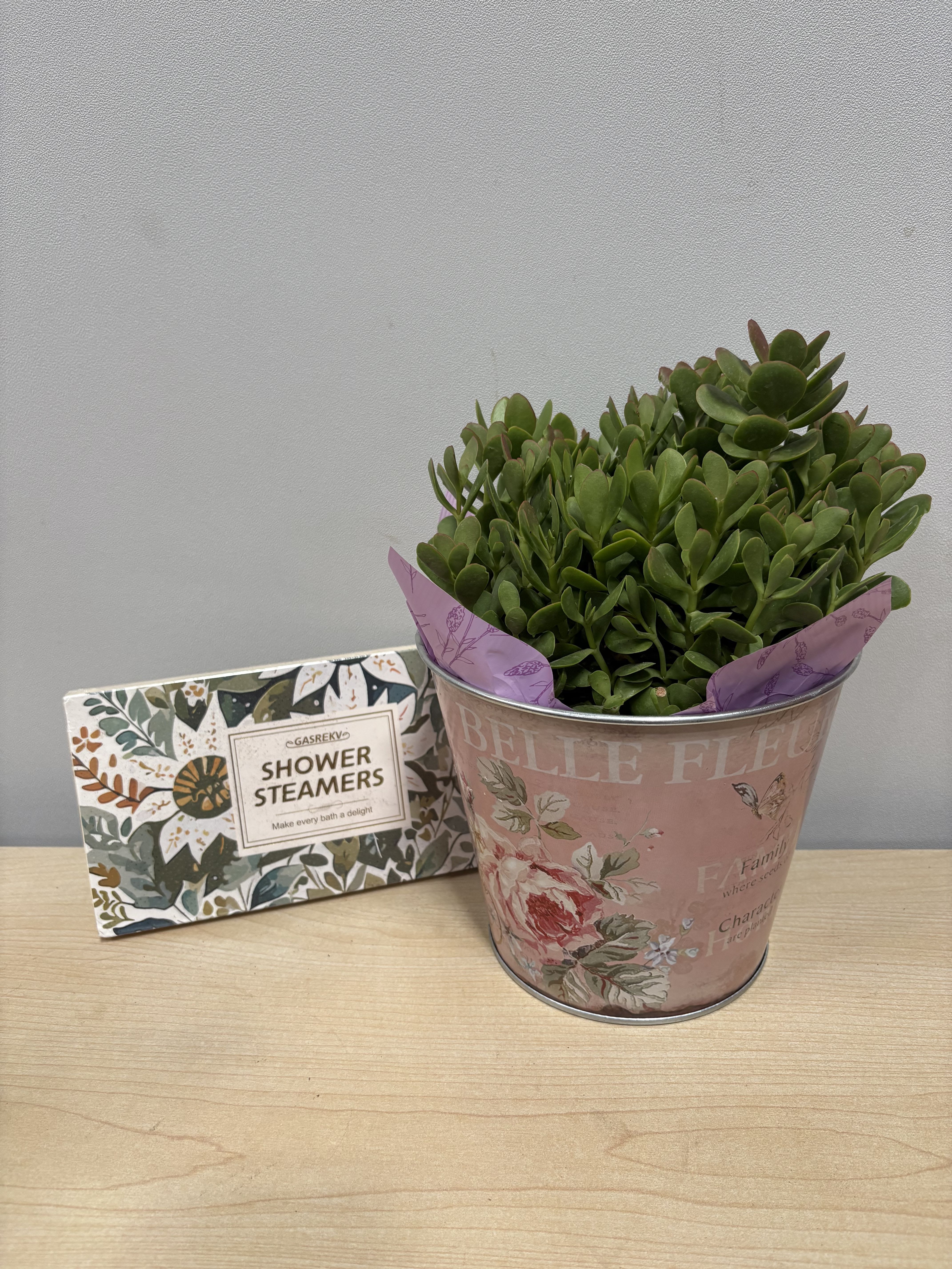 Belle Fleur Succulents &amp; Shower Steamers - As shown 