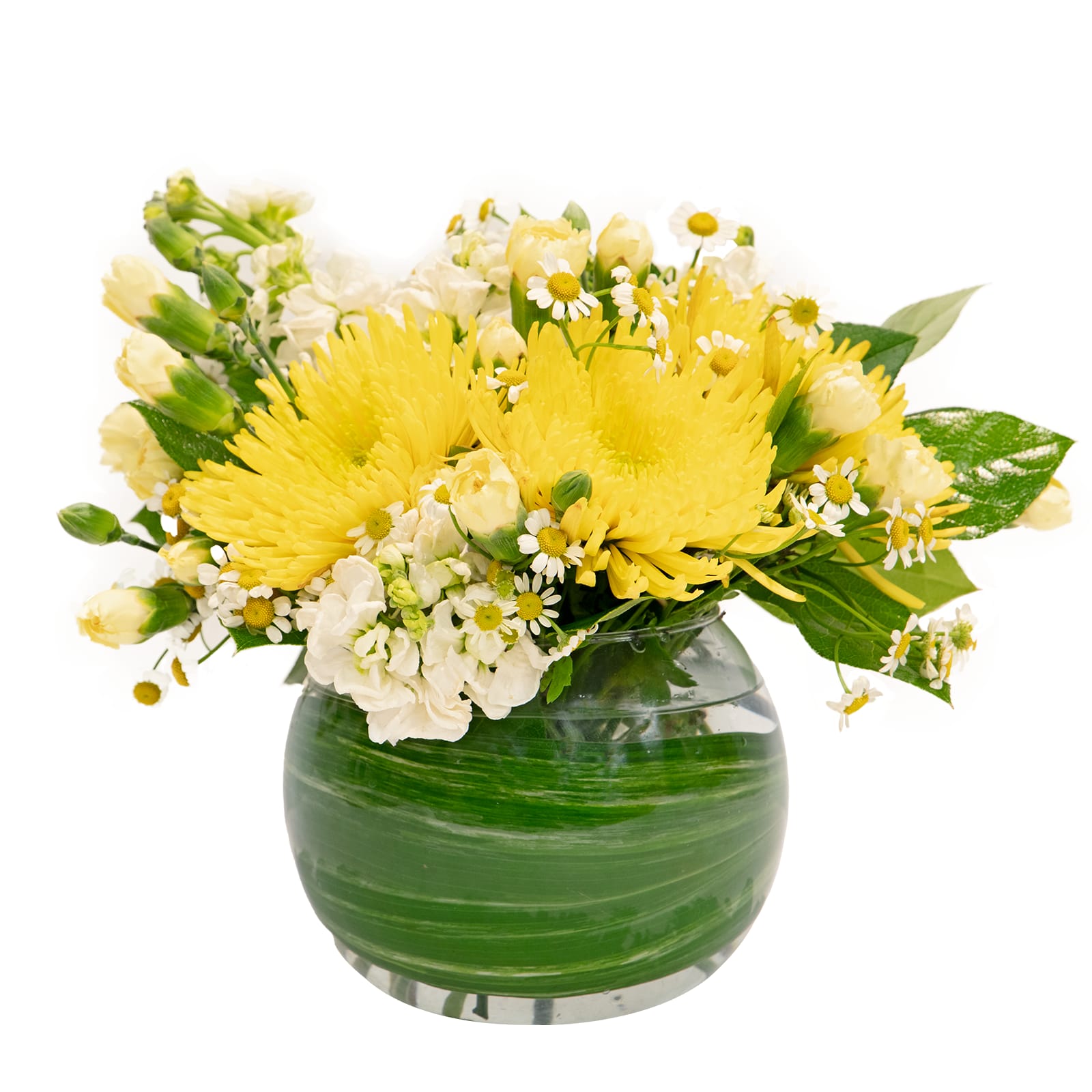 Lemon Drop - Stimulate your senses with a new kind of Spring drink! Introducing our version of the widely known- Lemon Drop! Featuring top-shelf Cremon mums, Stock, &amp; a dash of chamomile for garnish, this floral arrangement will send you right to happy hour!