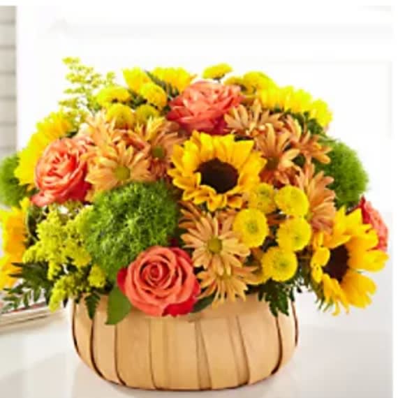 Harvest sunflower basket Harvest sunflower basket - Rustic, natural beauty and vibrant shades fill this arrangement. Our Harvest Sunflower Basket is the perfect mix of bold sunflowers, roses and dianthus in a natural woven basket.
