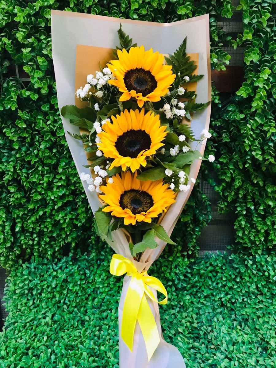 gira gira soles  - con 3 unidades de girasol