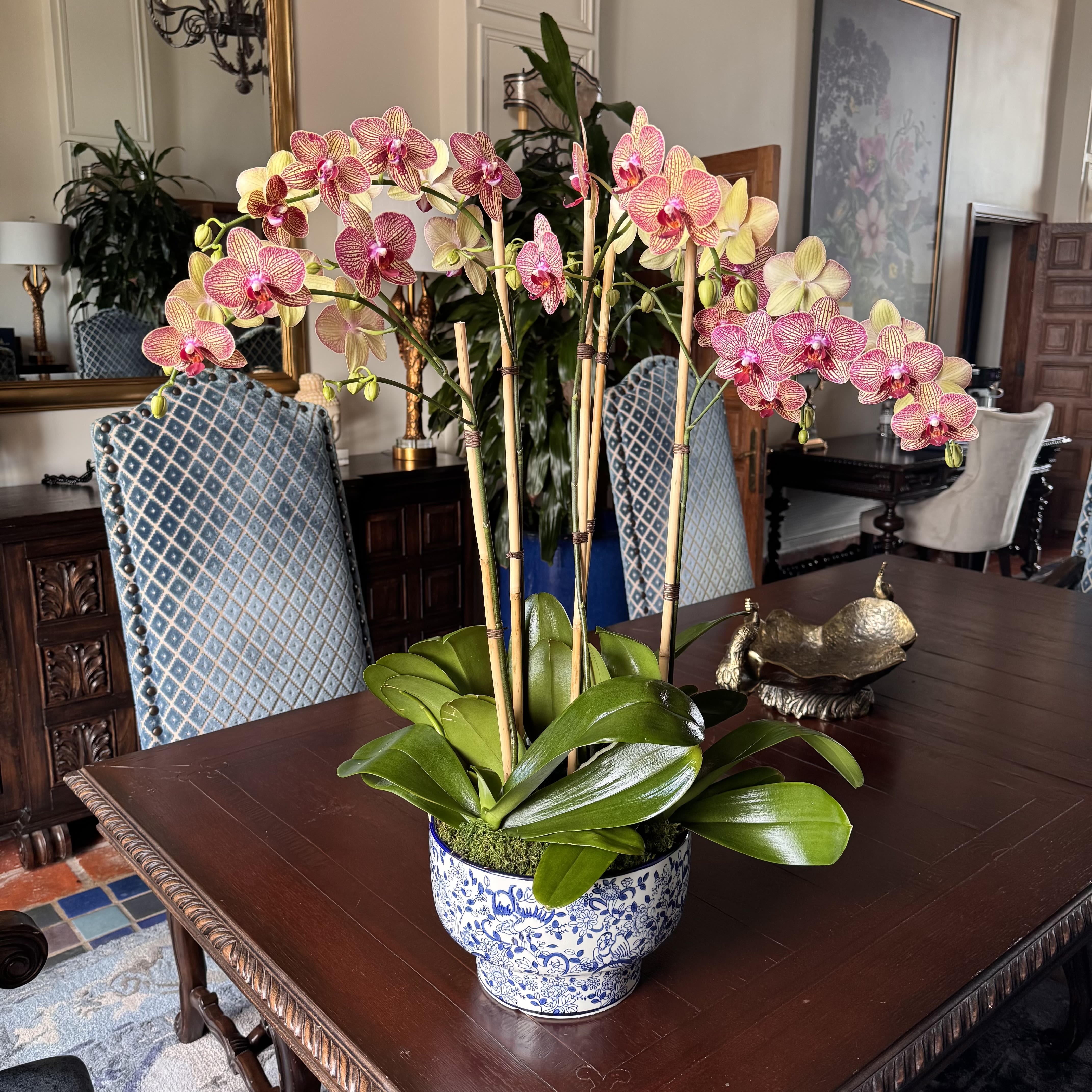 Imperial Bloom - 5 single stem phalaenopsis All arrangements are customizable with different colors of orchids. Flower size, shape and color will vary depending on availability and blooming cycle.