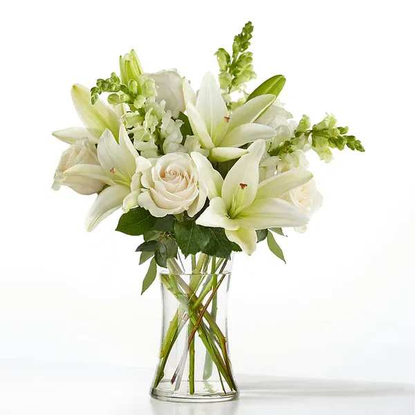 Eternal Friendship Bouquet - An exuberance of bright and beautiful white blossoms provides an exquisite way to deliver your expressions of sympathy and comfort. This life affirming tribute combines white roses, snapdragons and Asiatic lilies accented by lush greens arranged in a clear glass 8&quot; vase. An excellent choice for a wake, funeral service or for sending your condolences to the home of grieving family or friends.  Details Approx. 17&quot; H x 14&quot; W  Bloom Details Lily Rose Snapdragon