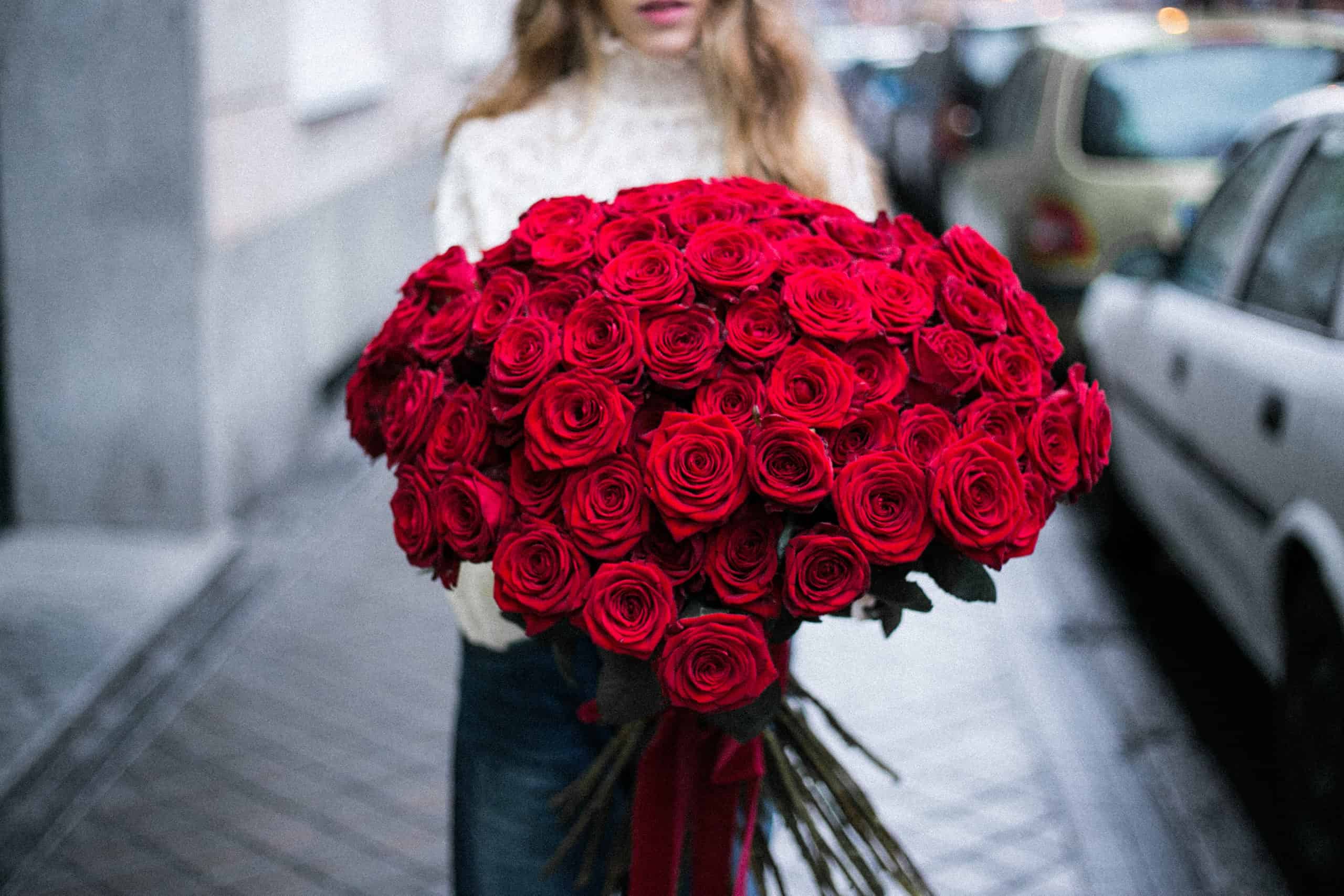 Passion for roses. - Red roses always can show love.