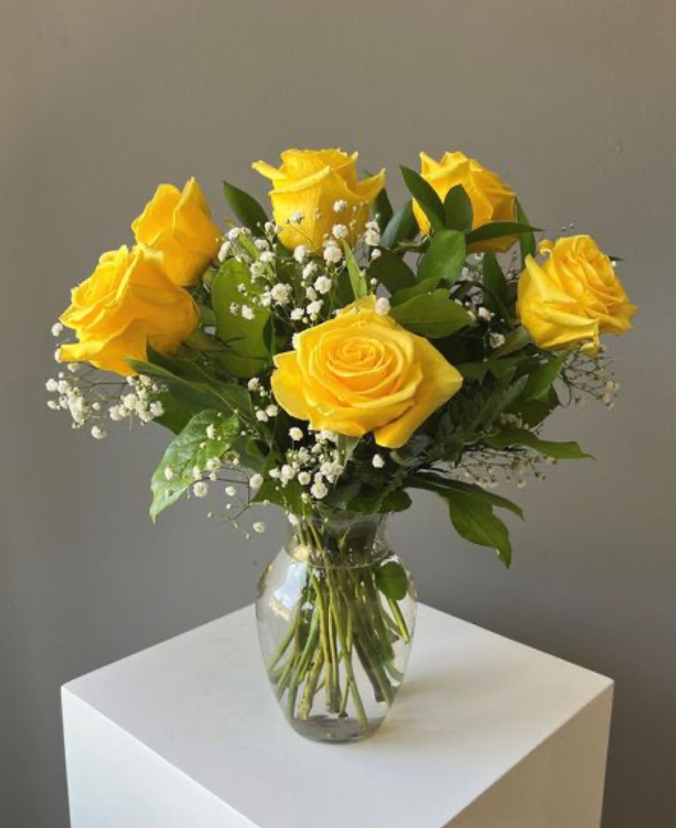 N-201 - Yellow or different color