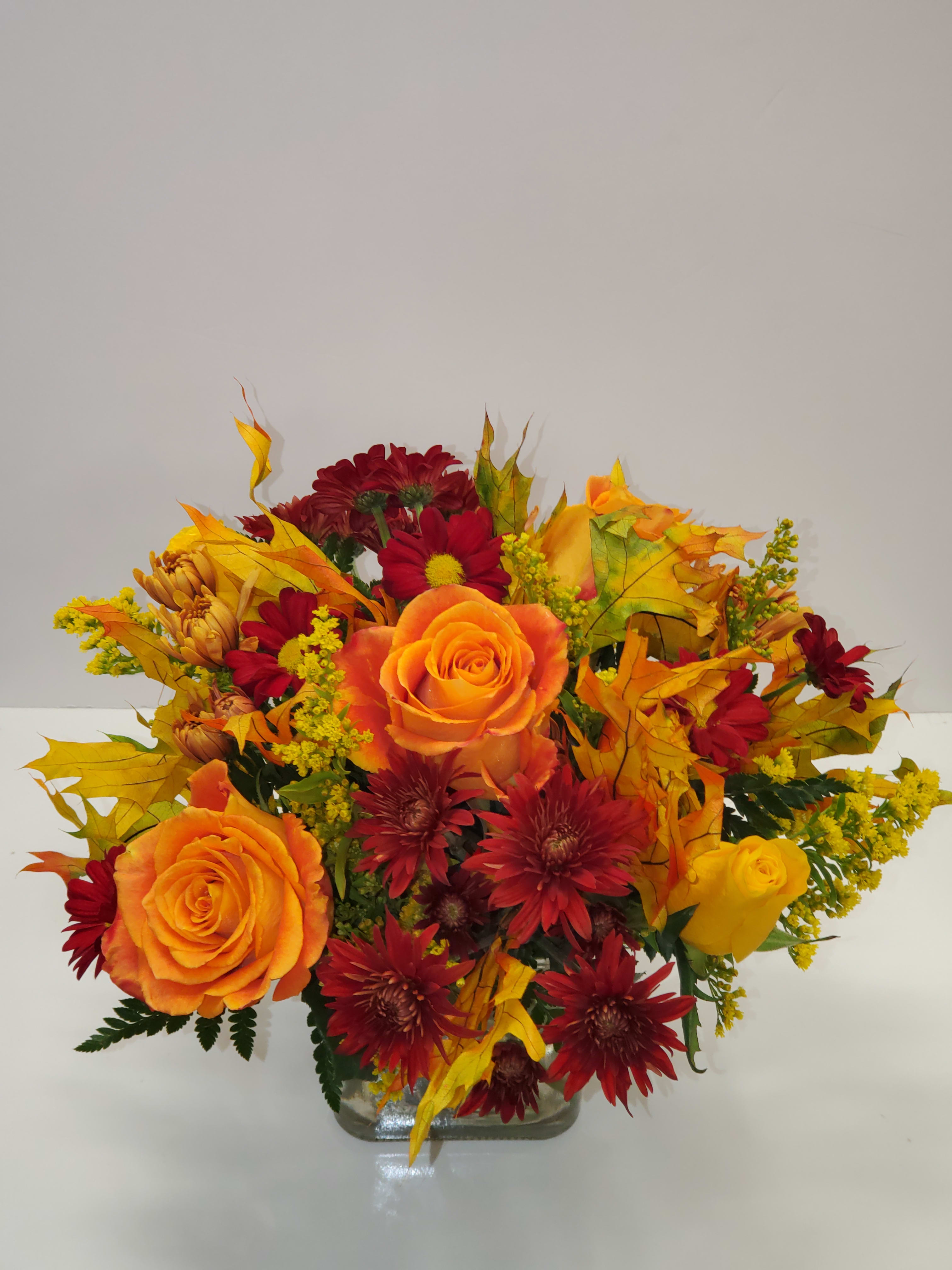 Lovely Autumn Colors  - Lovely Autumn Colors 