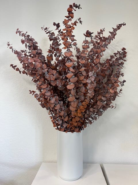 Perserved Eucalyptus - Beautiful Preserved Eucalyptus No watering needed, serves as long lasting decor Dyed 