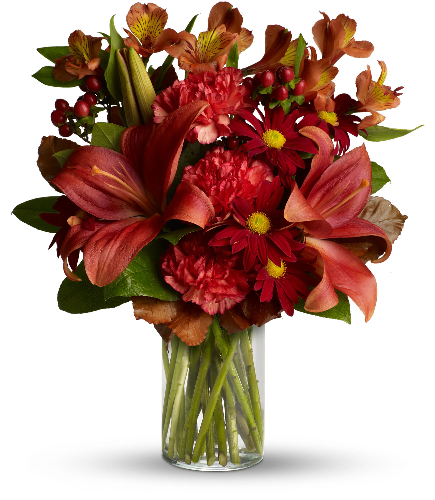 Fall Fashion Fall Fashion - The dramatic bouquet includes red or orange asiatic lilies, orange alstroemeria, rust daisy spray chrysanthemums, orange carnations and red hypericum accented with assorted greenery. Approximately 13" W x 15" H Lilies are toxic to cats- we can substitute- let us know!