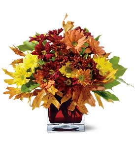 Autumn Cube Autumn Cube - An autumn toned cube vase holds red, yellow and bronze daisy spray chrysanthemums, with assorted fall foliage accents. Approximately 9" (W) x 11" (H)