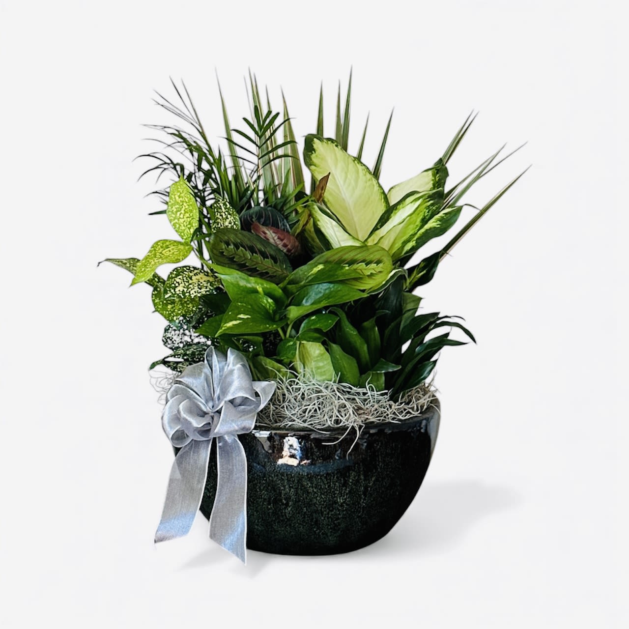 Eternal Harmony Z12 - A Lush, Lasting Gift for Any Space Bring the outdoors in with this vibrant mix of easy-to-love houseplants — styled together in a low ceramic dish for a lush, modern look. Our Ceramic Dish Garden is the perfect way to send lasting beauty and greenery for any occasion, from birthdays to sympathy gestures to &quot;just because.  Large Ceramic Dish Garden  Size, 12” 