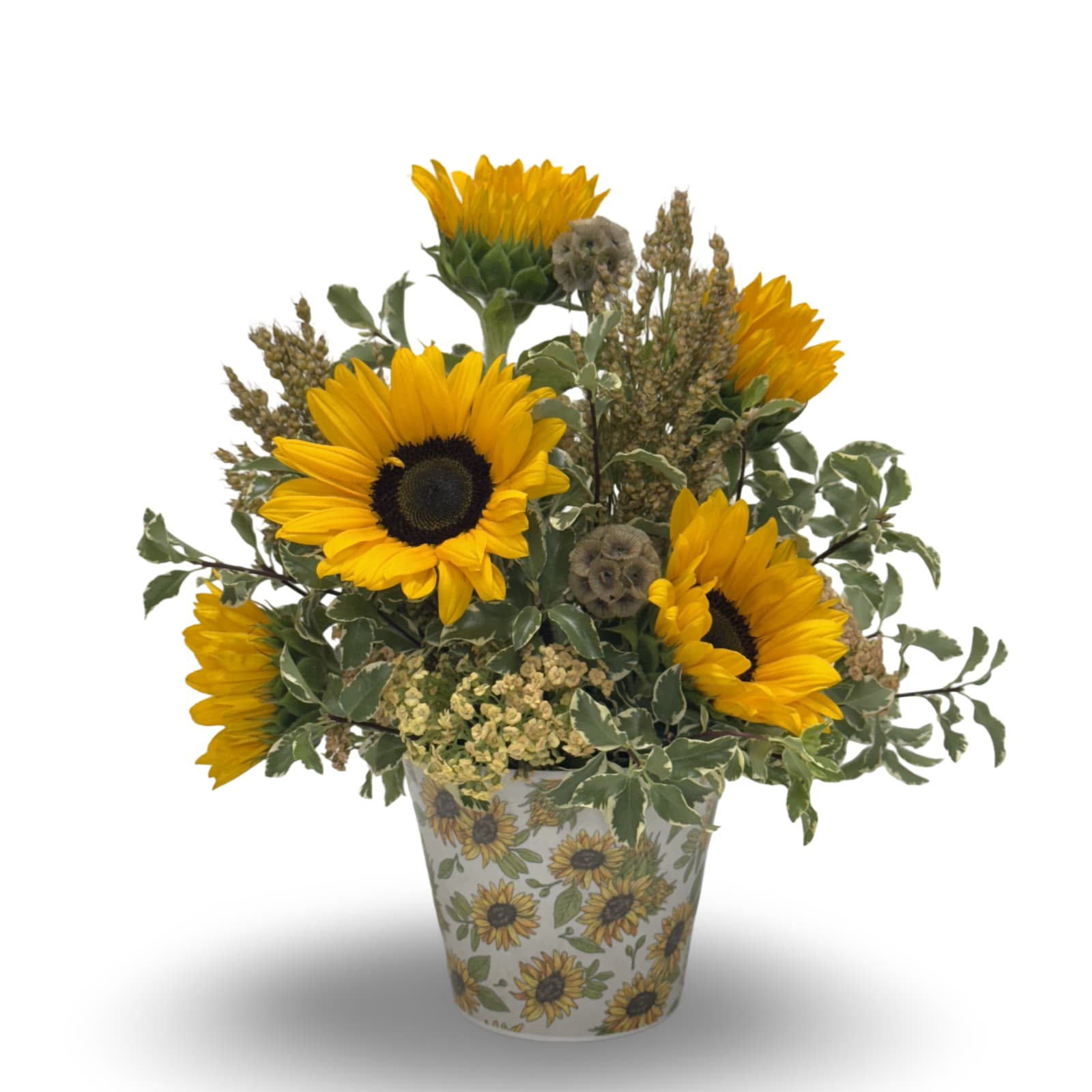 Sunny Fields - Brighten any space with Sunny Fields, a cheerful arrangement that can be enjoyed from every angle. Featuring sunflowers, broomcorn, yarrow, and scabiosa, this vibrant mix bursts with texture and color. Perfectly arranged in a sunflower-themed plastic pot (approximately 14 × 12 inches), it’s a joyful centerpiece or gift that radiates warmth and charm. Order our Deluxe or Premium option to add more kinds of blooms!