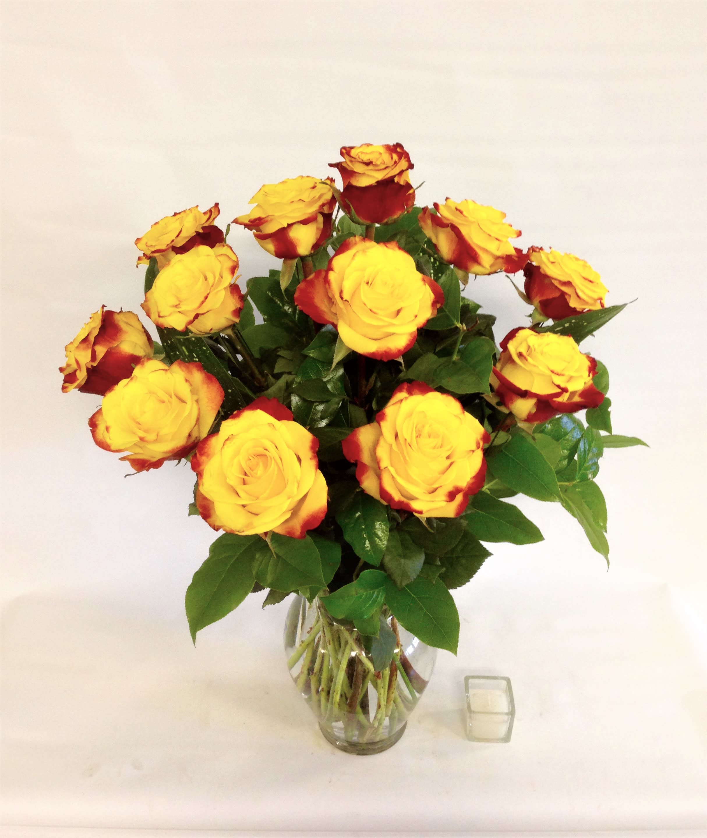 High and Yellow Magic - Brighten Someones Day With These Beautiful High and Yellow Magic Roses. Strong Yellow Color With a Coral Red Edge, Dramatic !