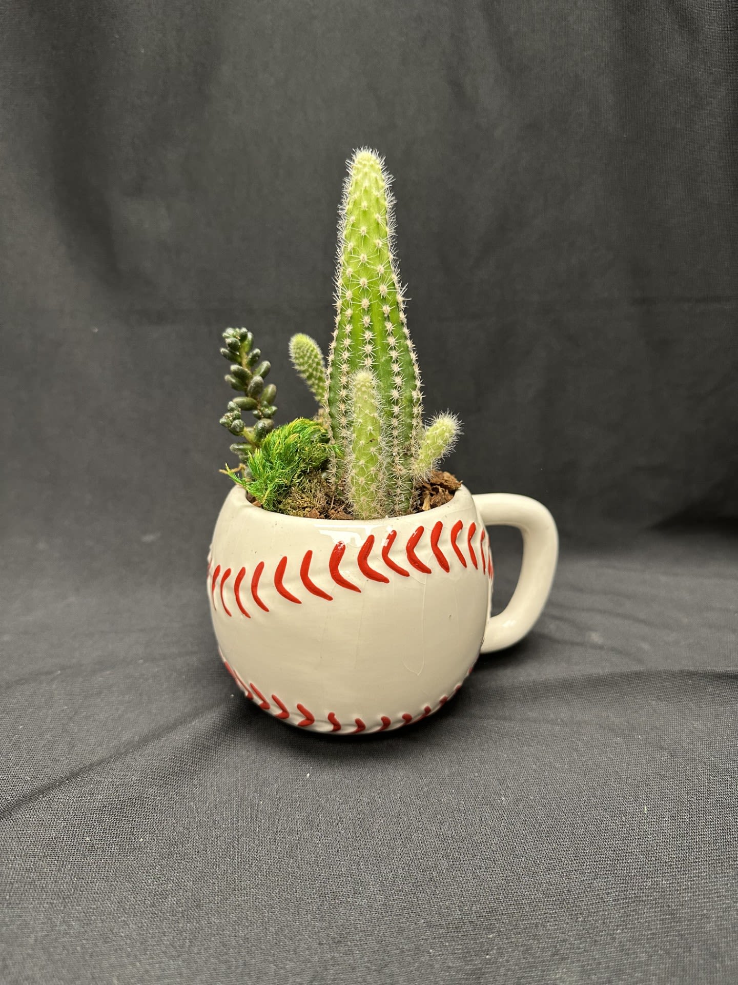 Desert Dugout - Step up to the plate with this sporty succulent arrangement, featuring a mix of playful textures and vibrant greenery nestled in a baseball-themed mug. Easy to care for and full of charm, it’s a home run gift for any plant-loving sports fan. Perfect for desks, windowsills, or as a winning centerpiece for game day.     