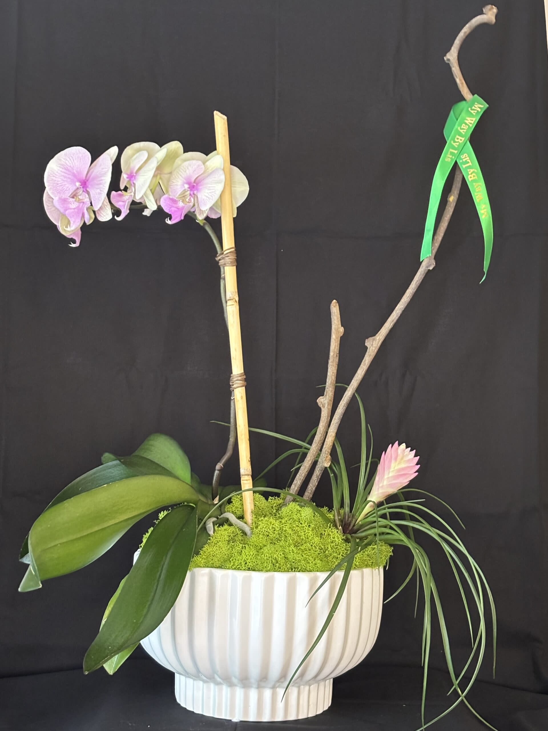 Caleidoscopio. Caleidoscopio. - Caleidoscopio orchid.