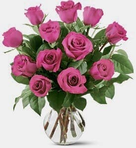 The way We Were - Dozen hot pink roses in a glass vase